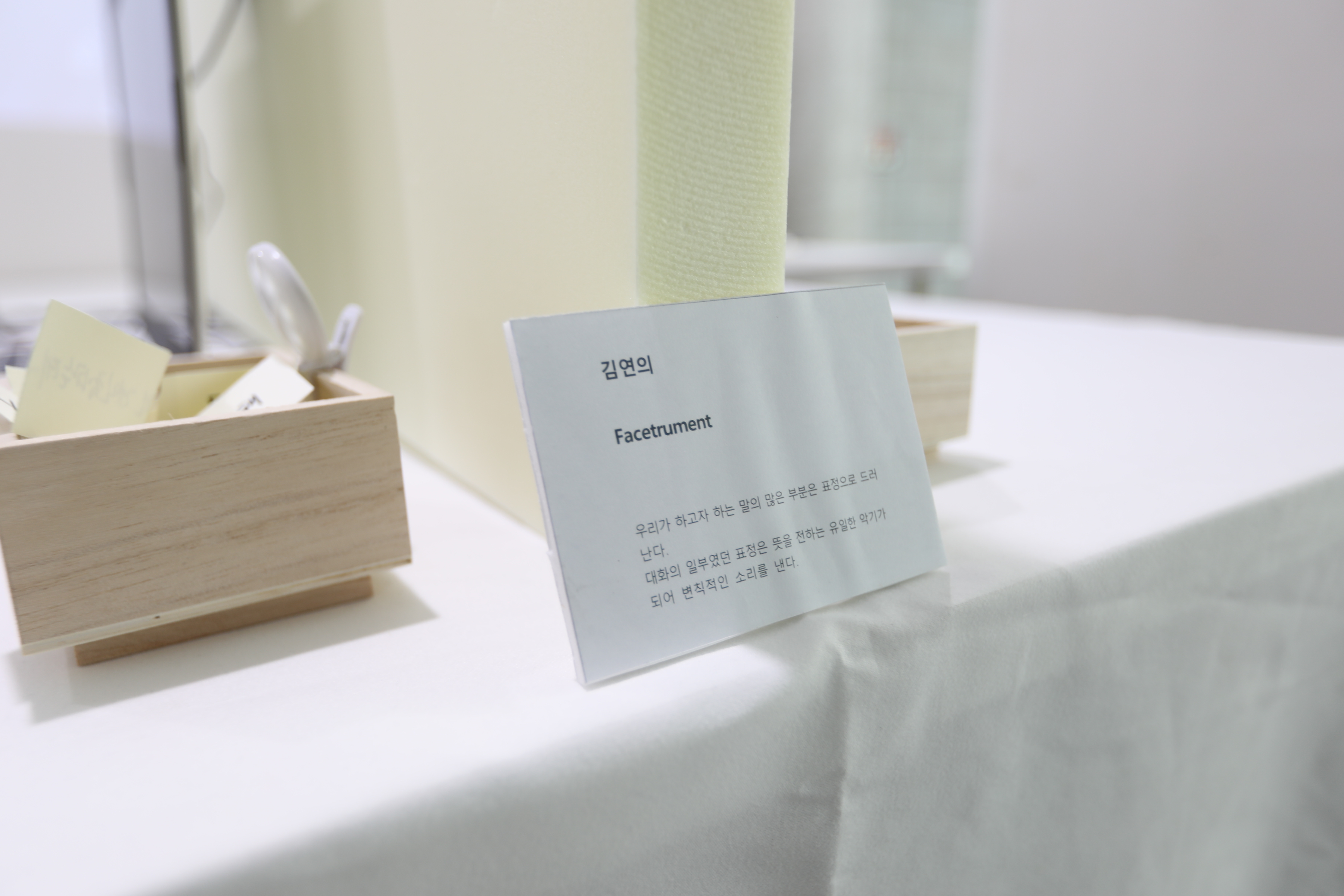 Facetrument : Face+Instrument — 상세 이미지 6 / Detail image 6
